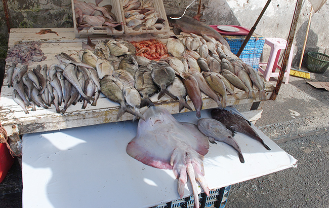 Ес-Суэйра, рибний ринок