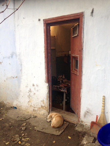 Въезд цыганам запрещен: как живут ромы после летних погромов в Лощиновке