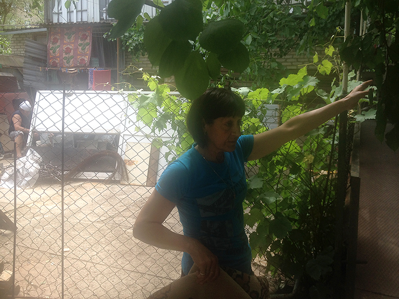 як живуть люди на лінії розмежування без питної води