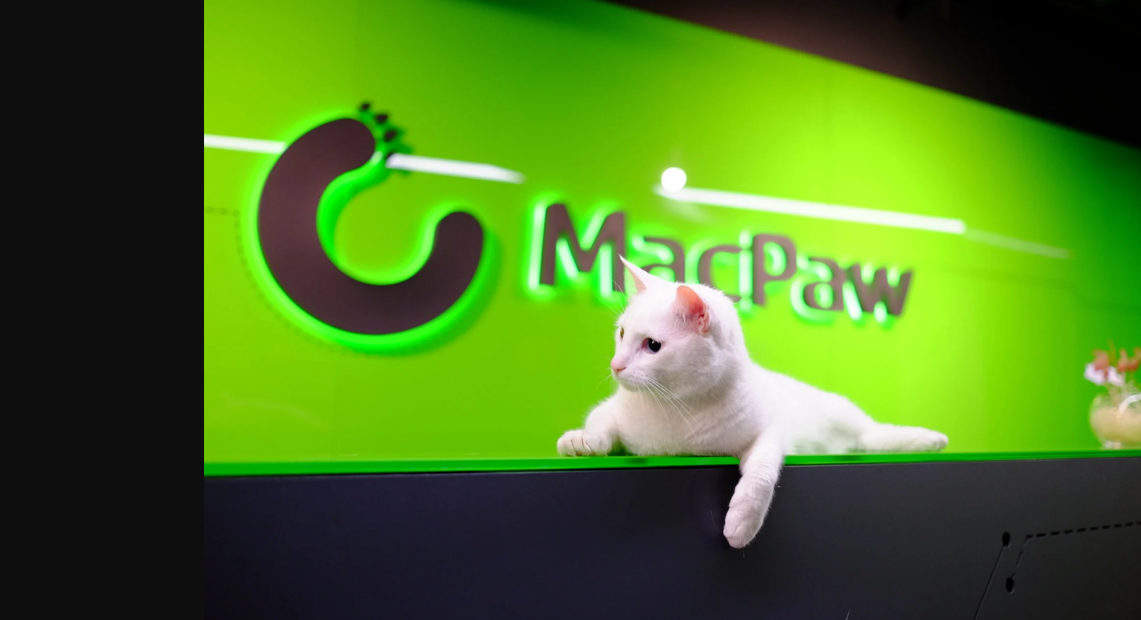 IT-ринок України: хто працює в найдинамічнішій галузі країни