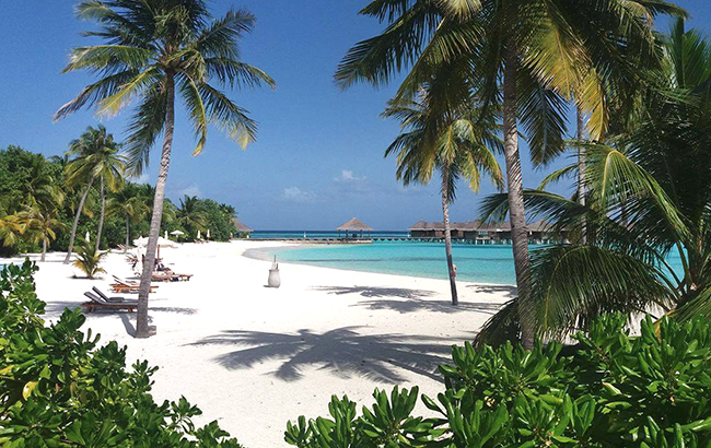 Острови в Індійському океані: чому туристи їдуть на Мальдіви