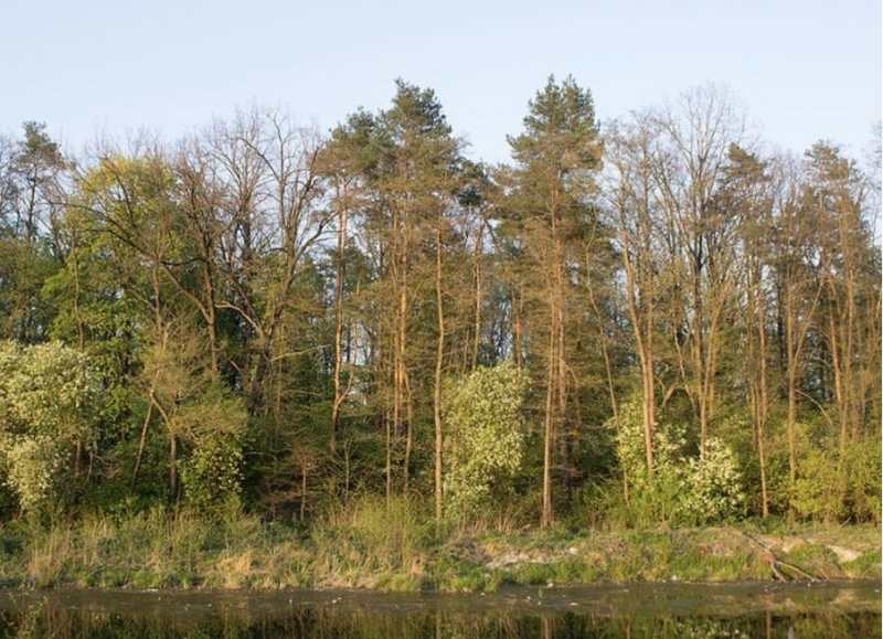 Что на самом деле происходит в земельной сфере Киева и действительно ли все так плохо