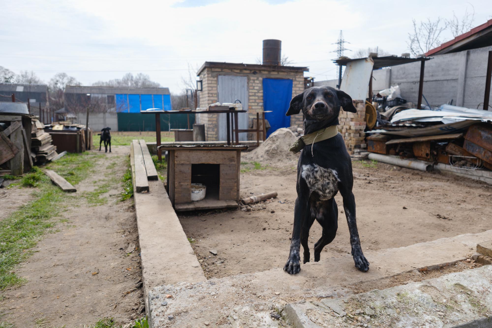 &quot;Россиян не простим никогда&quot;. Как изменилась жизнь в Буче спустя год после деоккупации