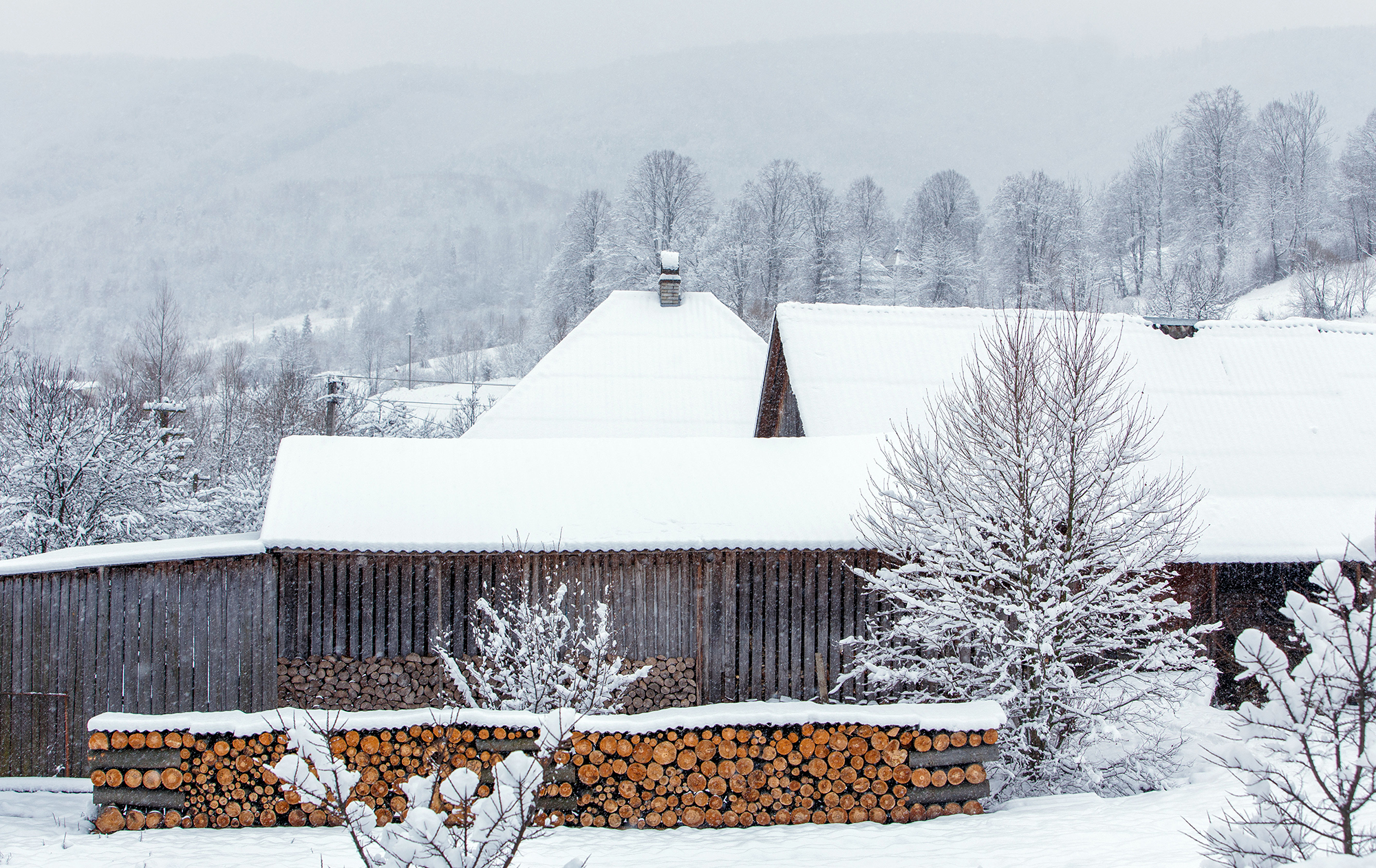 ВПЛ в Украине могут бесплатно получить земельный участок. Как это сделать