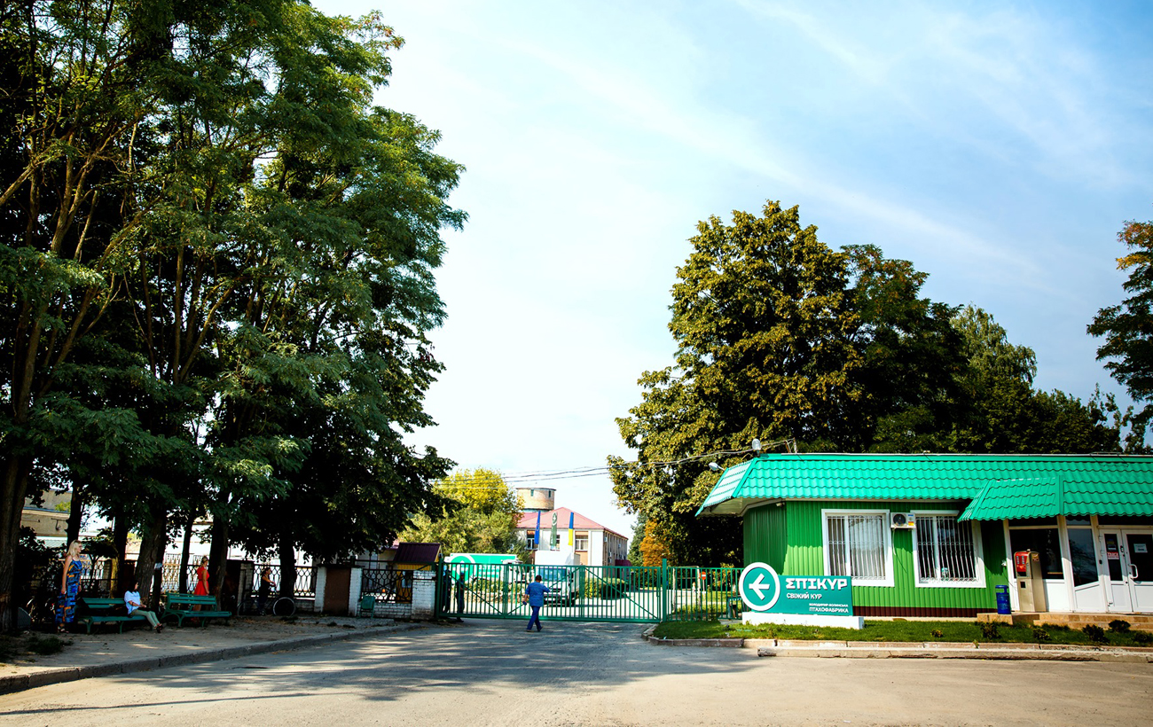 Судова практика. Як рішення судів можуть підривати довіру до судової системи