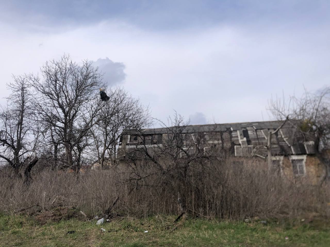 &quot;Россиян не простим никогда&quot;. Как изменилась жизнь в Буче спустя год после деоккупации